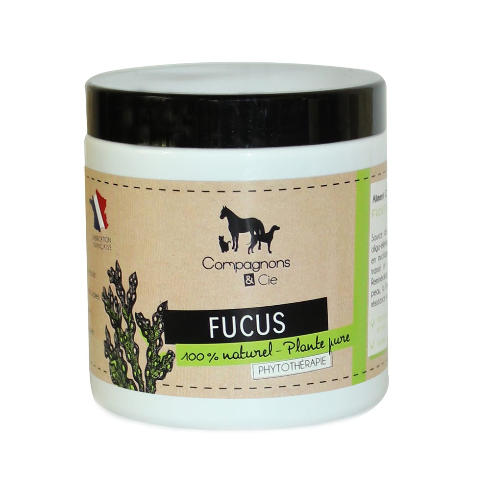 Fucus pour Chien & Chat