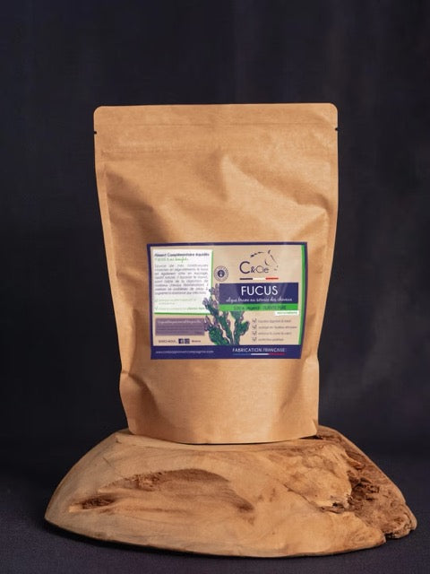 Fucus plante pure pour cheval
