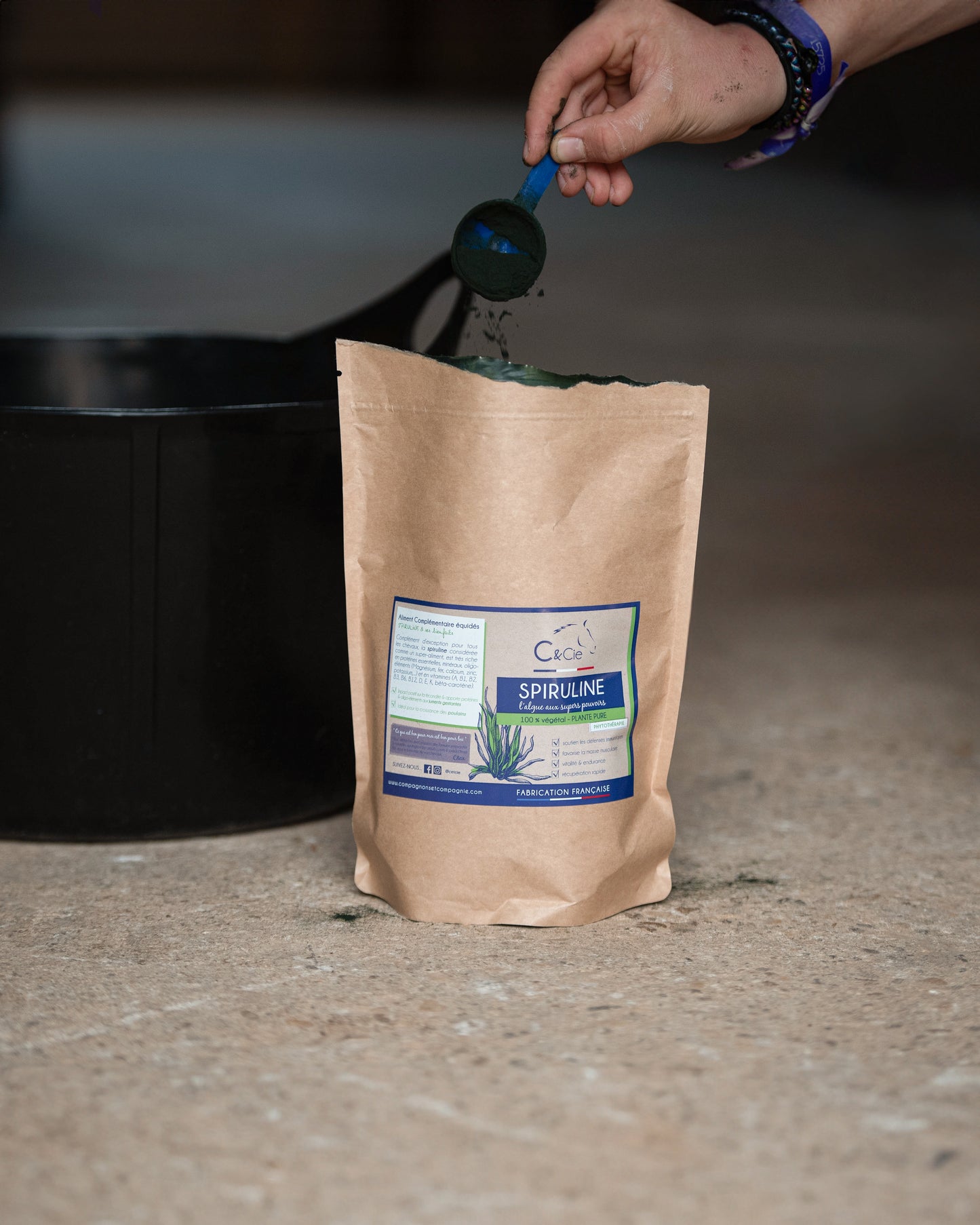 Spiruline plante pure pour cheval